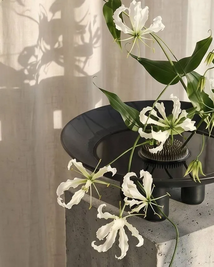 덕 접시 30 cm, Dark green 101 Copenhagen | 101 코펜하겐