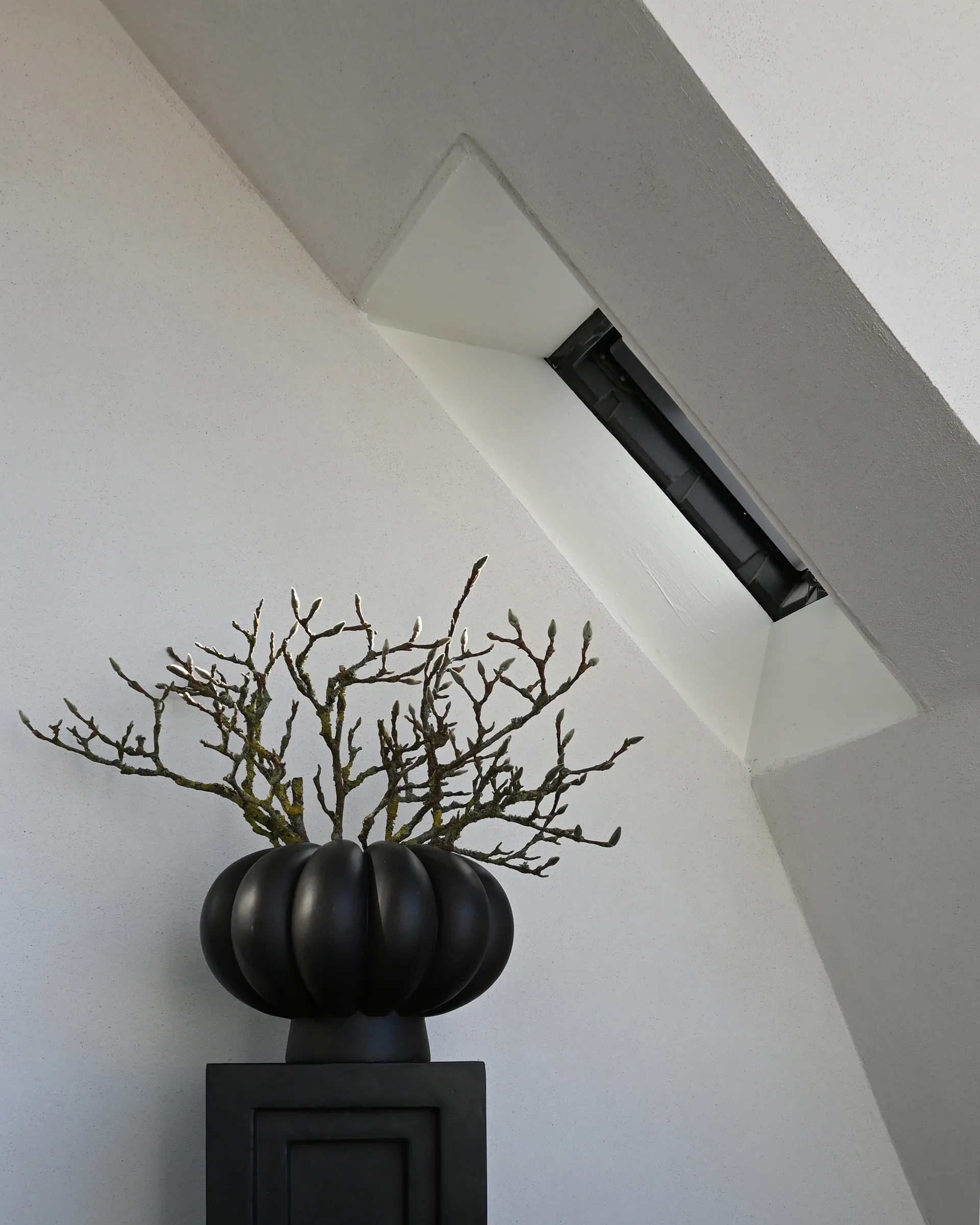 캐빈 화병 라멜라, Coffee 101 Copenhagen | 101 코펜하겐