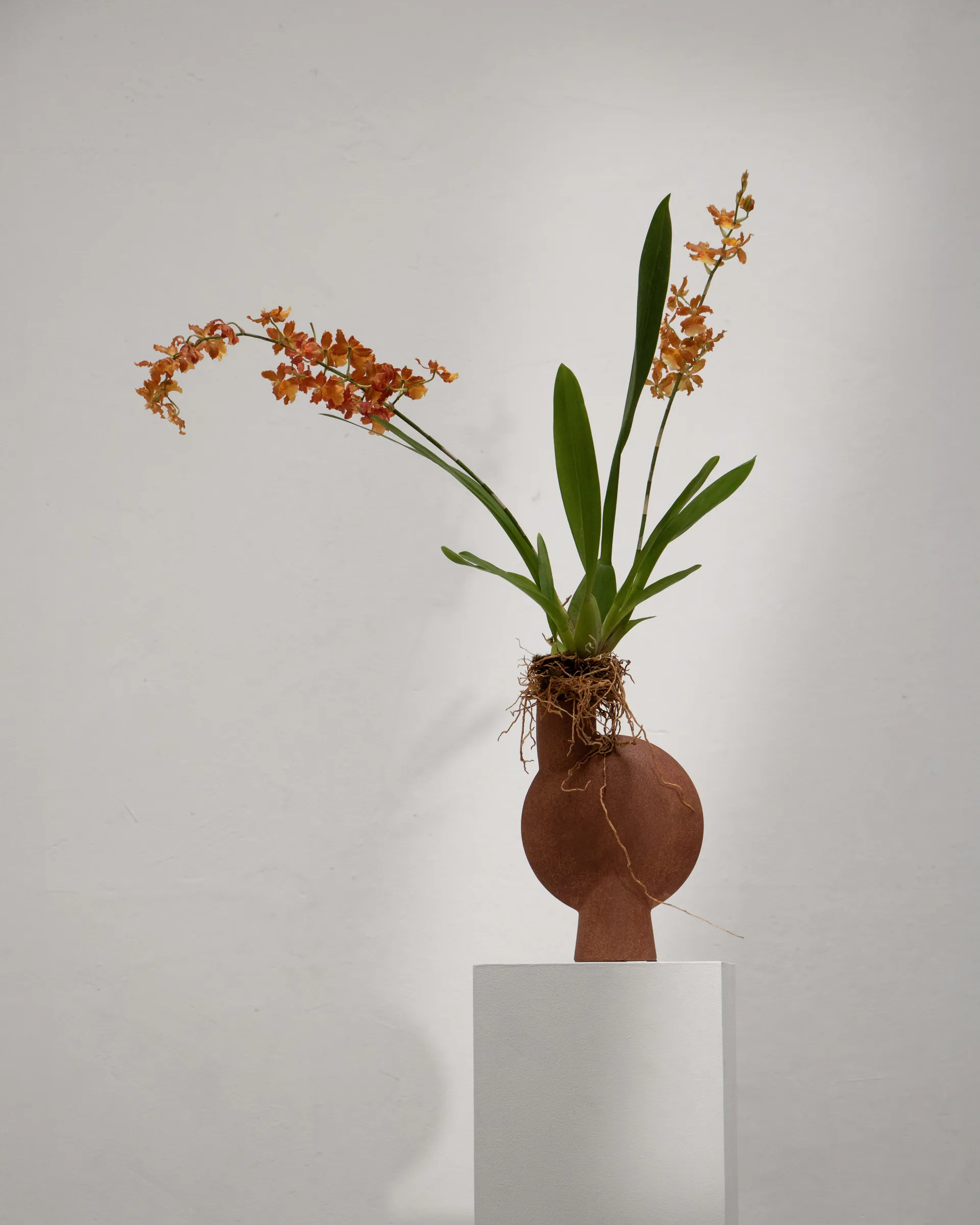 스피어 버블 화병 미듐, Terracotta 101 Copenhagen | 101 코펜하겐