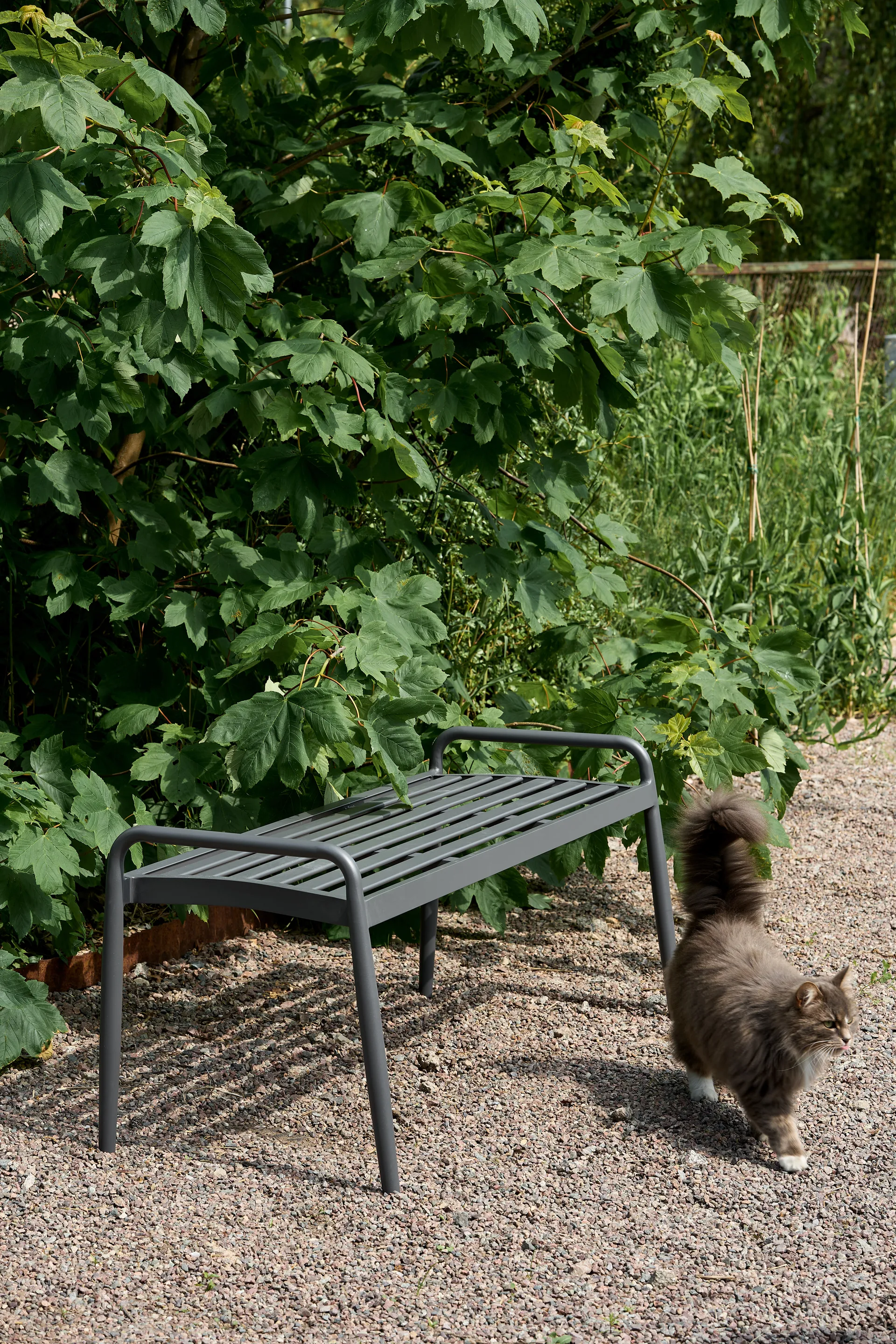 메시나 벤치 51x124 cm, Anthracite 1898