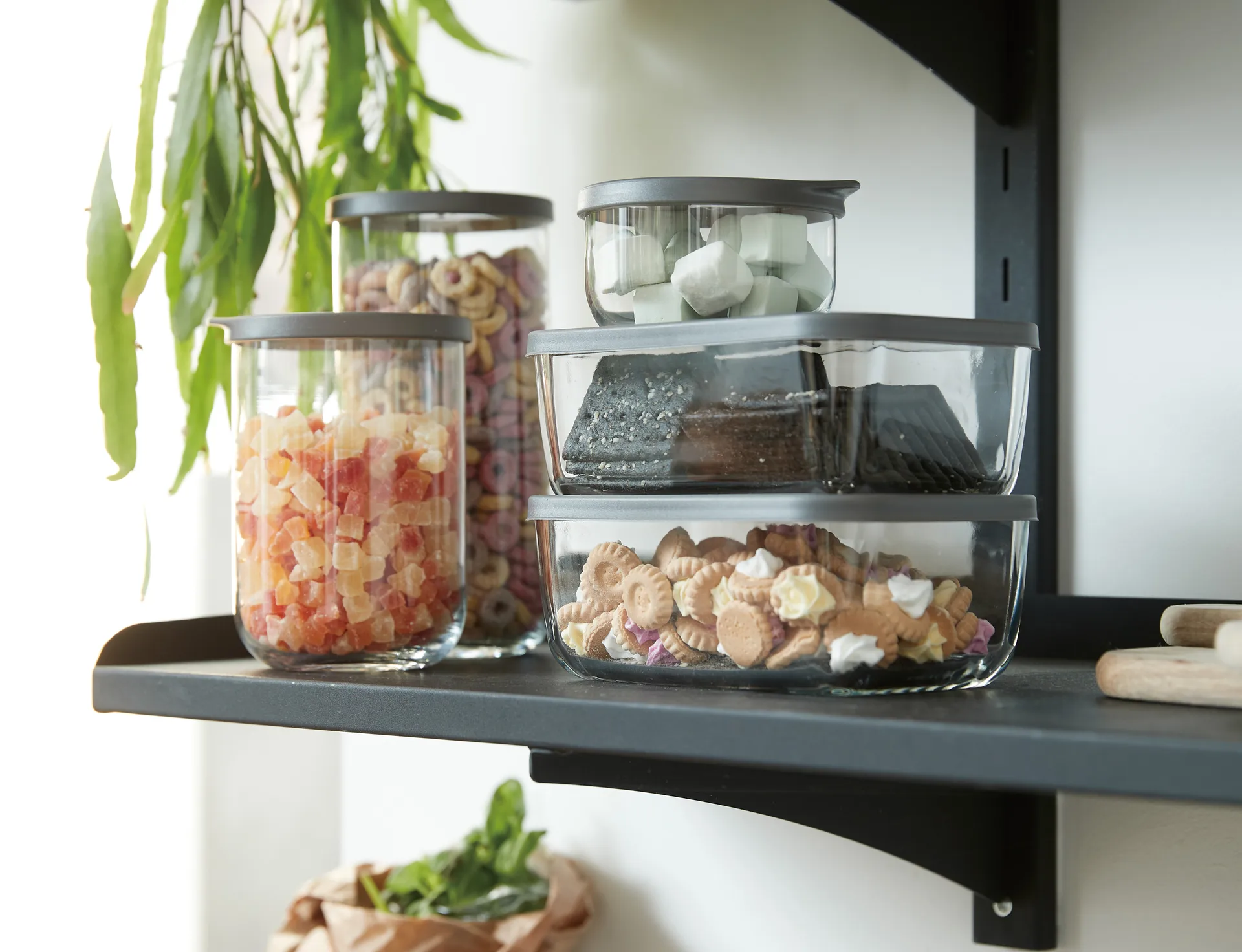 카페 수납 병 & 덮개 1.4 리터, Clear Aida | 아이다