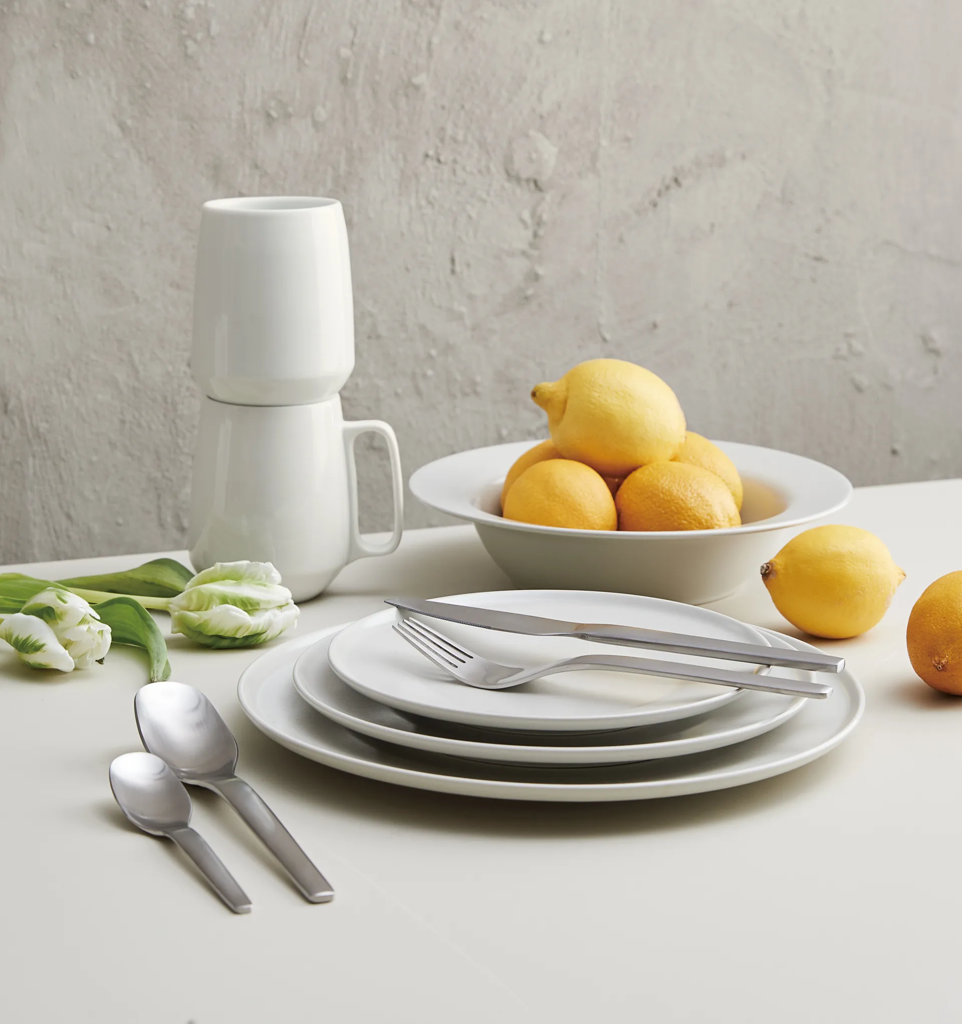 엔소 커트러리 16개 세트, Satin (steel) Aida | 아이다