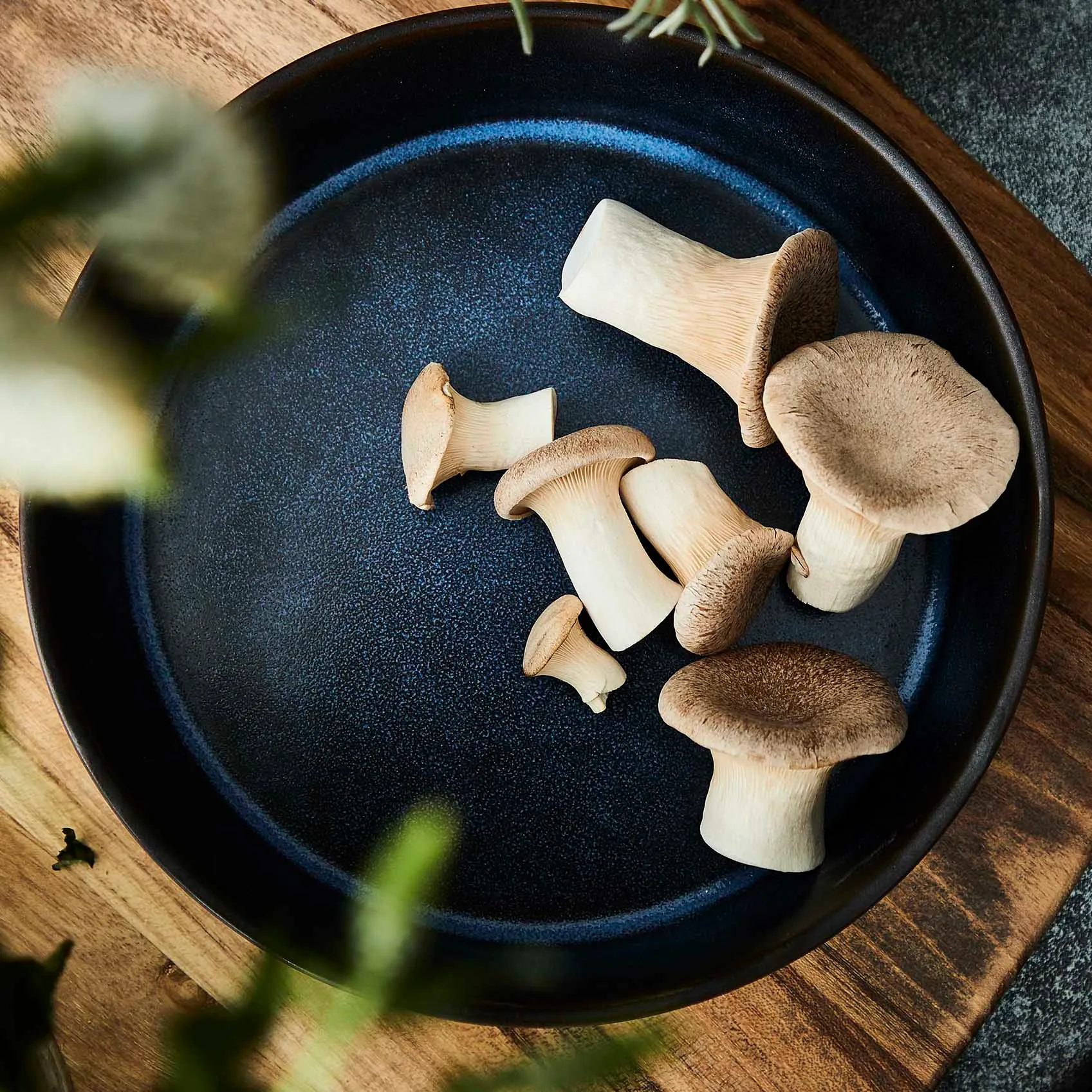 로 스프 접시 Ø19.4 cm, Midnight blue Aida | 아이다