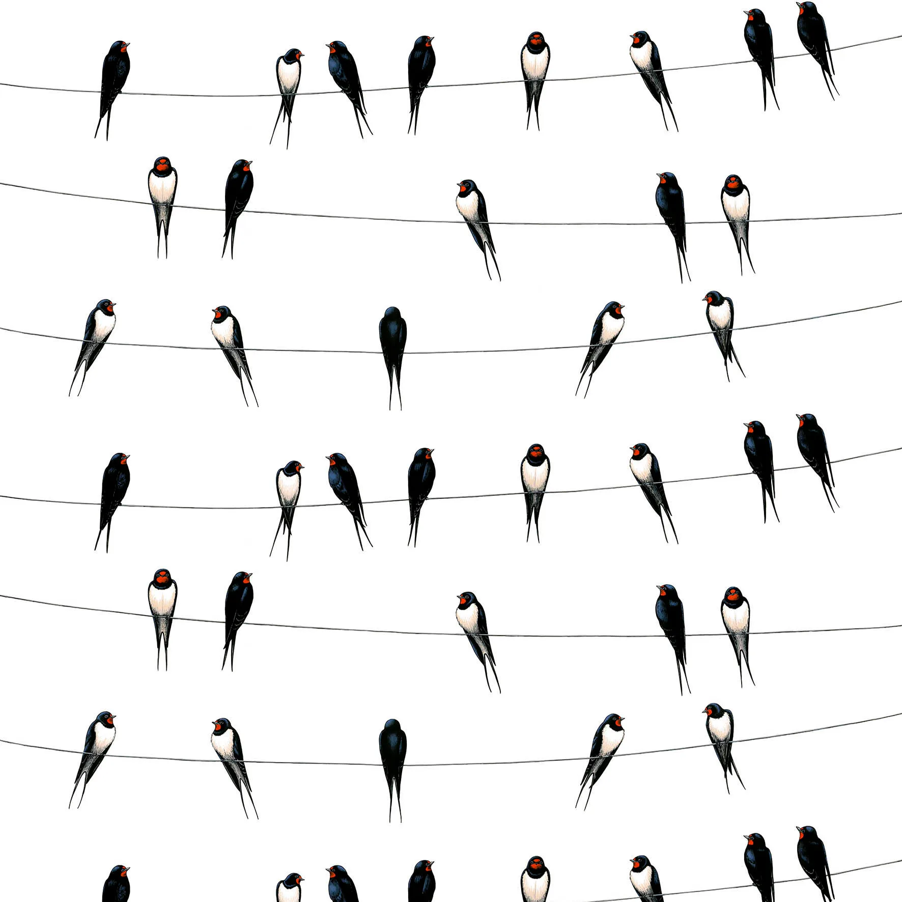 Ladusvalor 패브릭, white Arvidssons Textil | 아르빗손 텍스타일