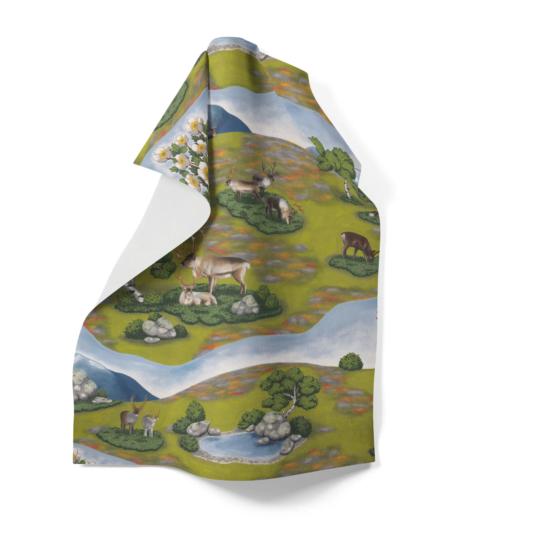 Renvandring 주방 타월 65x85 cm, Green Arvidssons Textil | 아르빗손 텍스타일