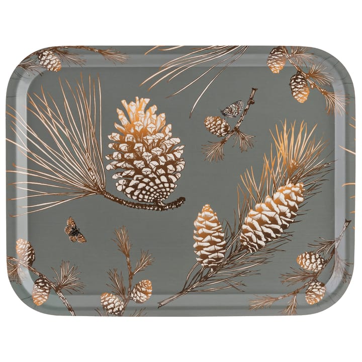 Pine Cone 트레이 28x36 cm - Moss grey - Åry Home | 오리 홈