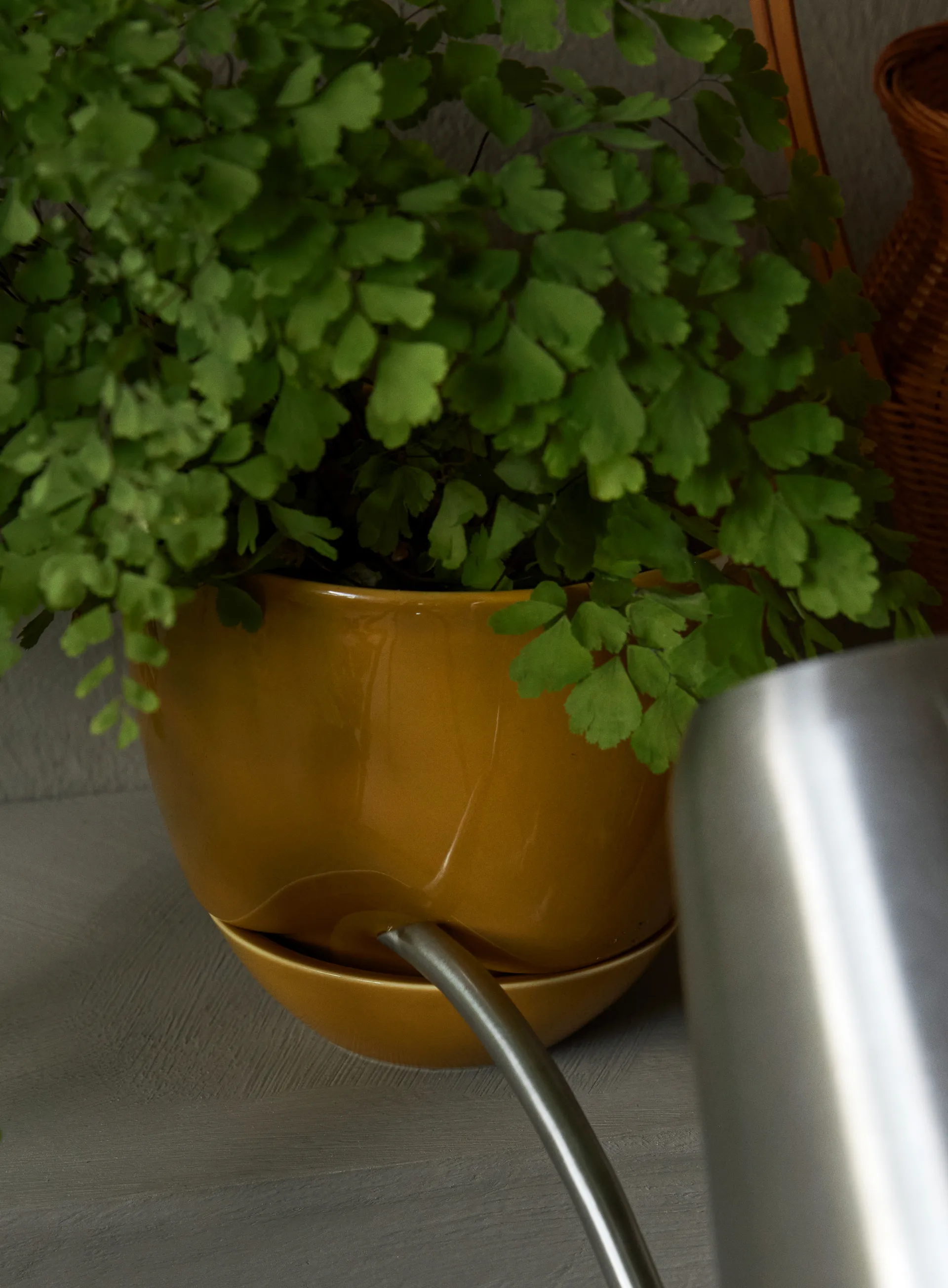 하이드러스 화분 Ø12 cm, Ochre Audo Copenhagen | 오도 코펜하겐