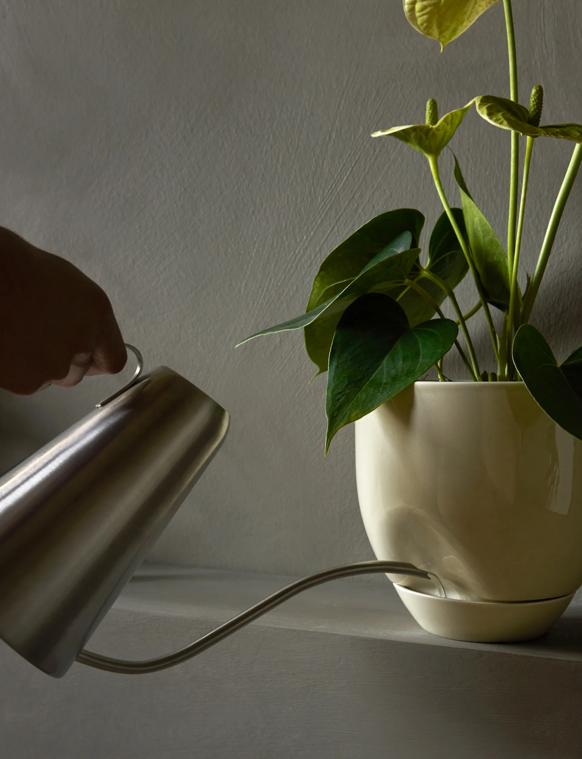 하이드러스 화분 Ø20 cm, Ashen Audo Copenhagen | 오도 코펜하겐