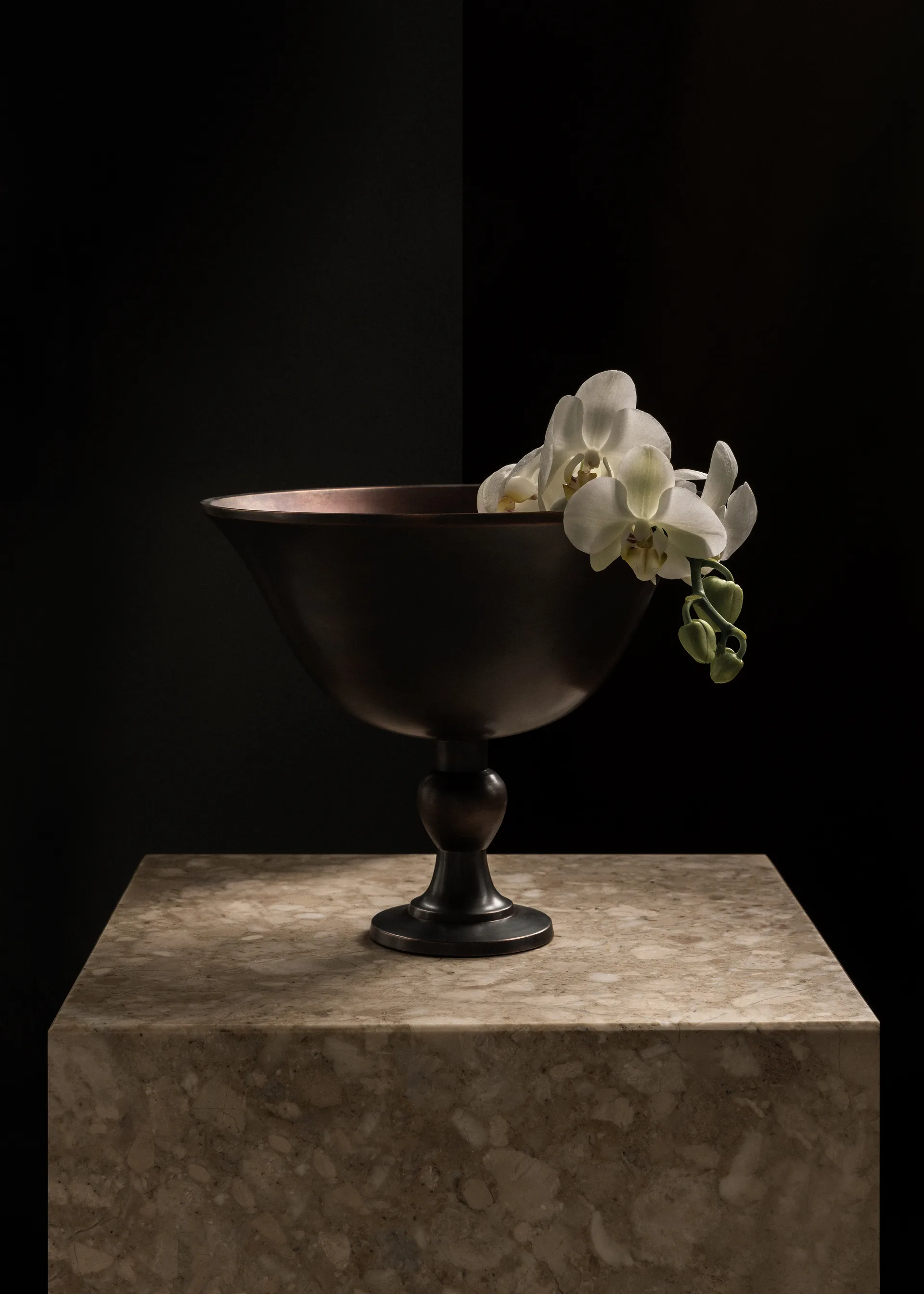 파보트 보울, Brown Audo Copenhagen | 오도 코펜하겐