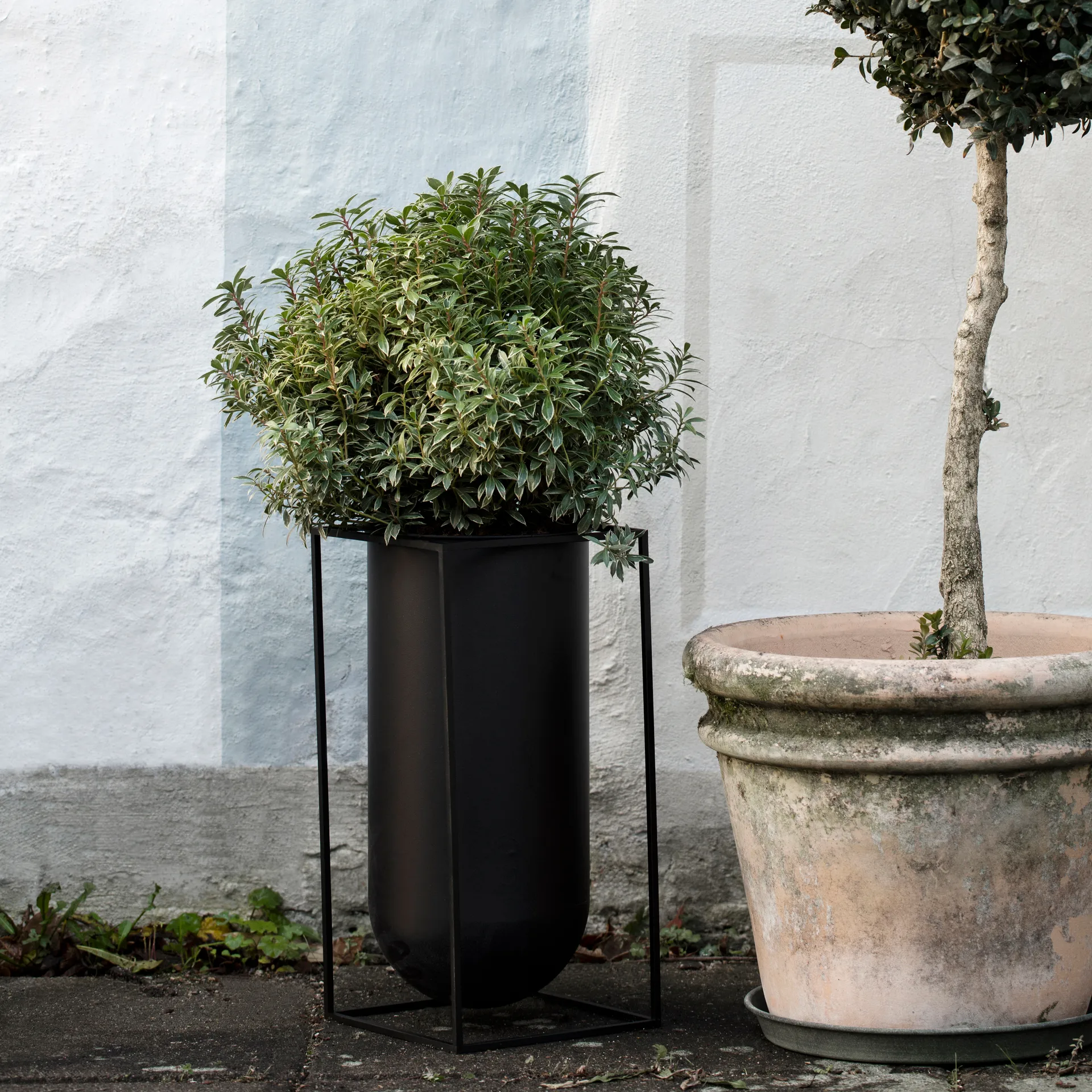 Kubus 화병 Nolia, Black Audo Copenhagen | 오도 코펜하겐