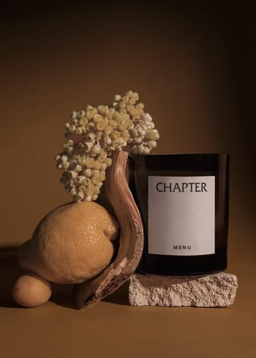 Olfacte 향초 Chapter - 235 g - Audo Copenhagen | 오도 코펜하겐