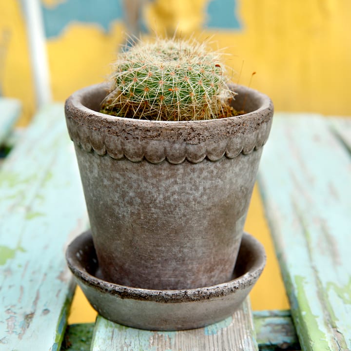 헬레나 토분 10 cm, Grey Bergs Potter | 베르그 포터