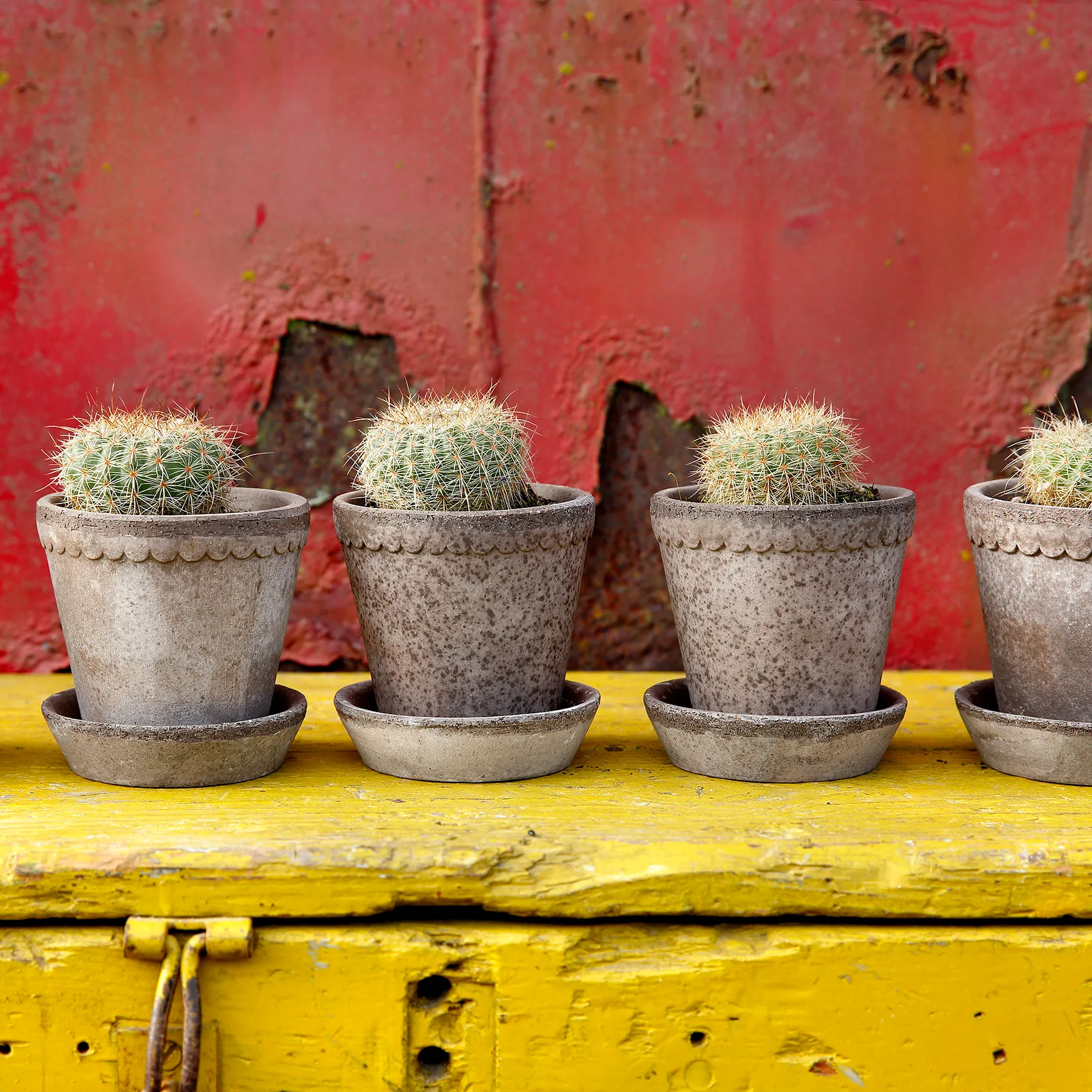 헬레나 토분 10 cm, Grey Bergs Potter | 베르그 포터