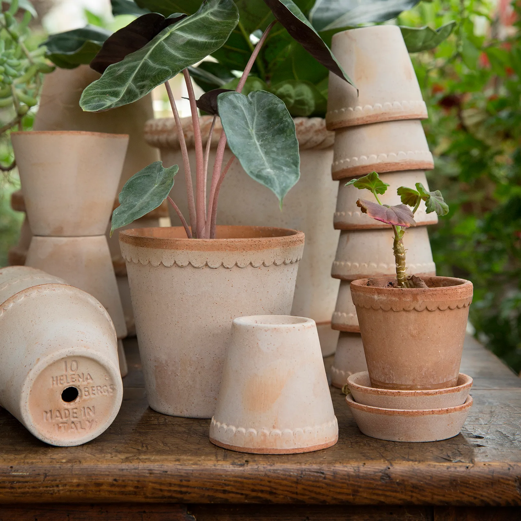 헬레나 토분 10 cm, Rosa Bergs Potter | 베르그 포터