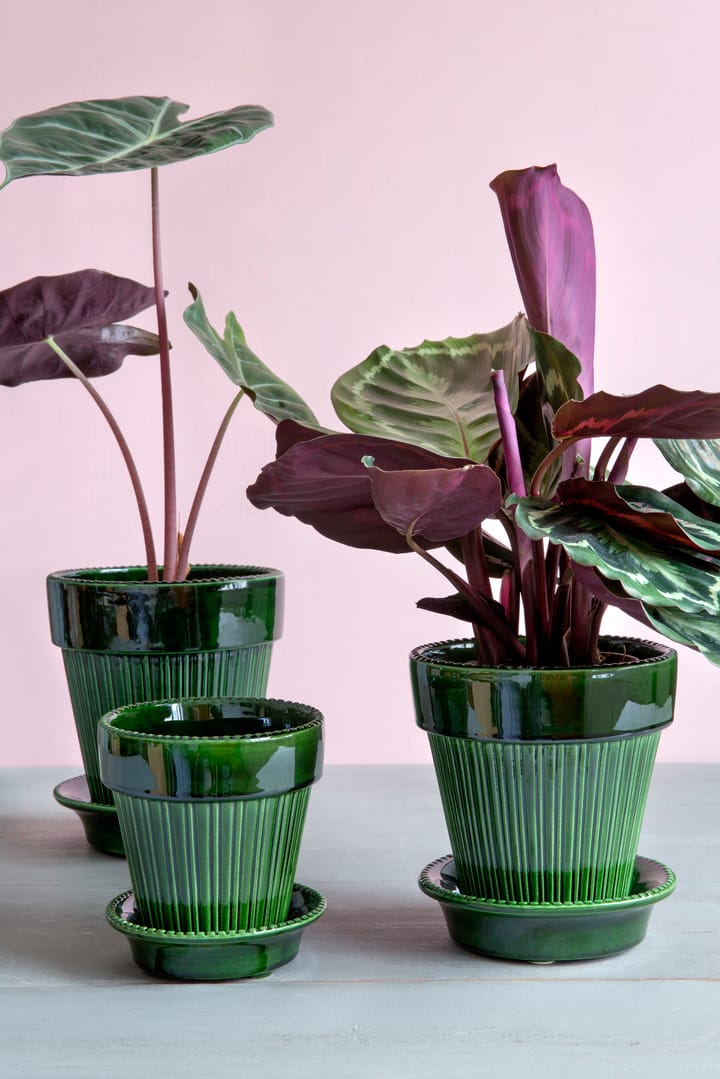 시모나 유광 토분 12 cm, Emerald Green Bergs Potter | 베르그 포터