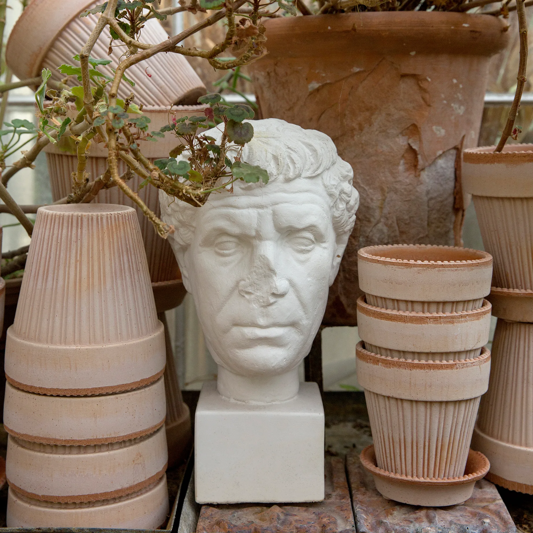 시모나 토분 12 cm, Rosa Bergs Potter | 베르그 포터