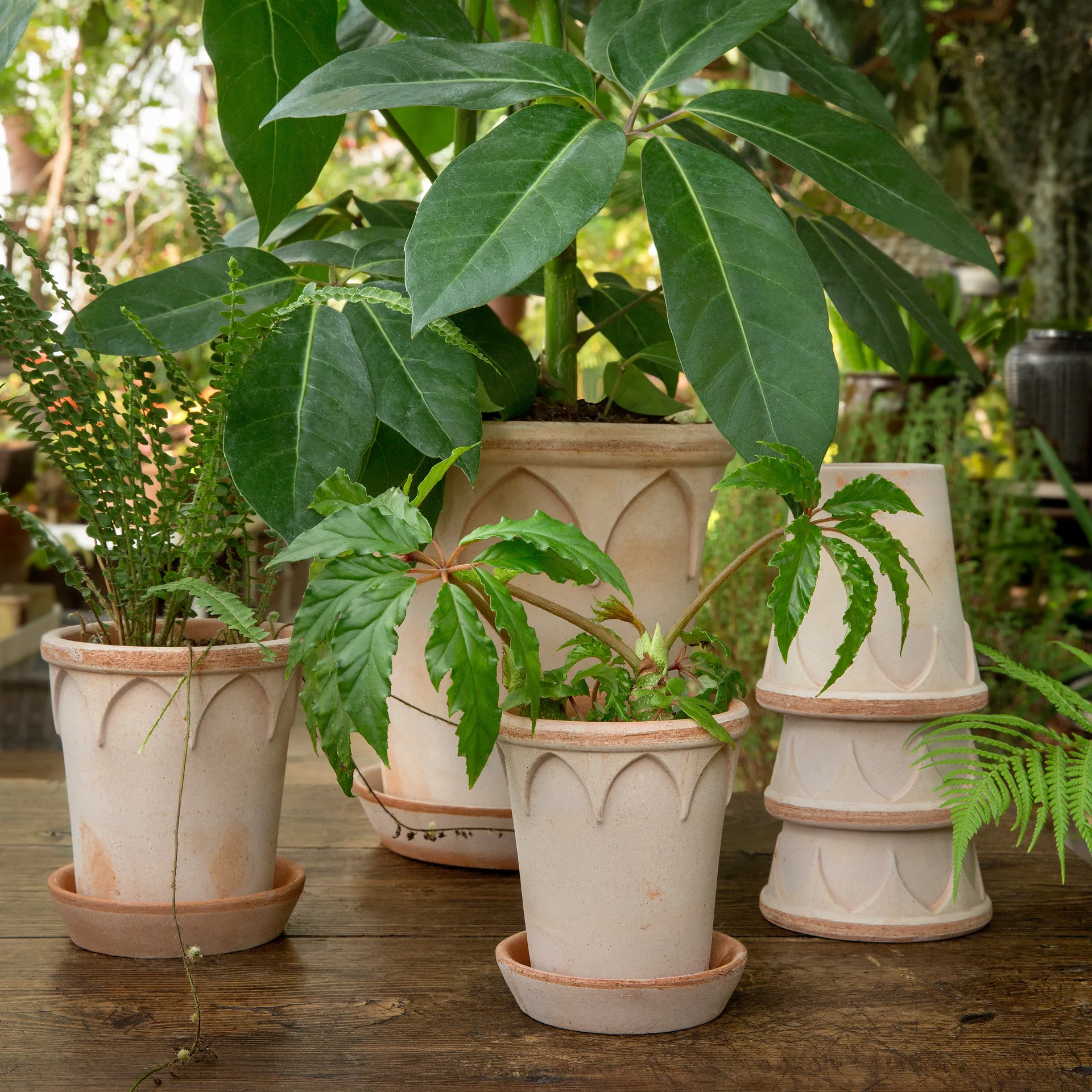 엘리자베스 토분 12 cm, Rosa Bergs Potter | 베르그 포터