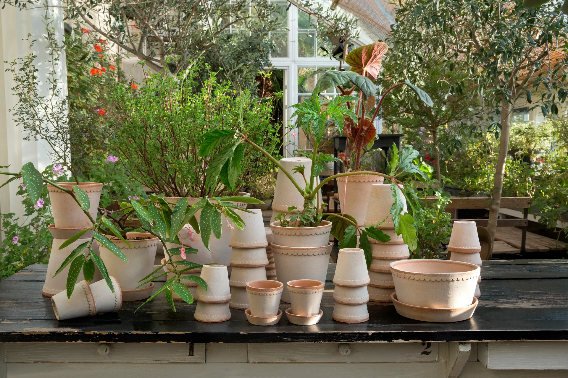 헬레나 토분 12 cm, Rosa Bergs Potter | 베르그 포터