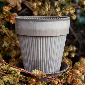 시모나 토분 14 cm - Grey - Bergs Potter | 베르그 포터