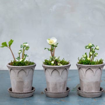 엘리자베스 토분 14 cm - grey - Bergs Potter | 베르그 포터