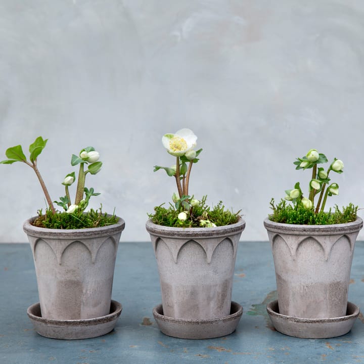 엘리자베스 토분 14 cm, grey Bergs Potter | 베르그 포터