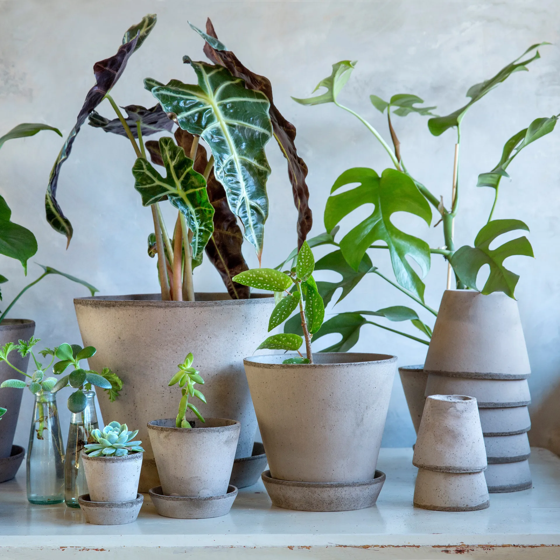 줄리 토분 14 cm, Grey Bergs Potter | 베르그 포터