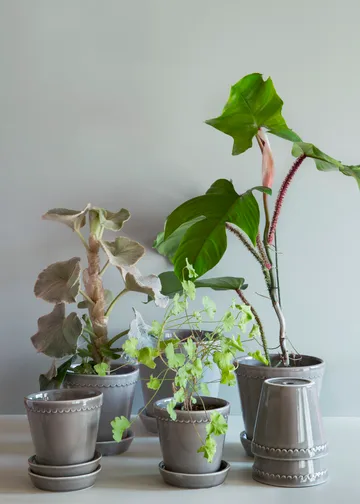 헬레나 유광 토분 14 cm - Pearl Grey - Bergs Potter | 베르그 포터