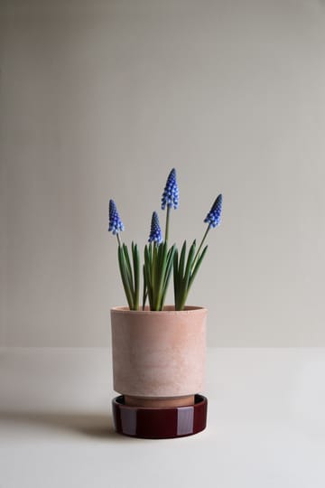 호프 화분 - Ø14 cm, Raw Rosa-Deep Burgundy - Bergs Potter | 베르그 포터