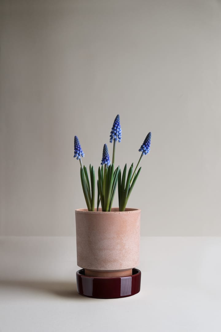 호프 화분, Ø14 cm, Raw Rosa-Deep Burgundy Bergs Potter | 베르그 포터