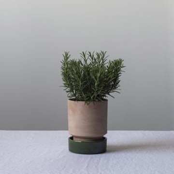 호프 화분 - Ø14 cm, Raw Rosa-Emerald Green - Bergs Potter | 베르그 포터