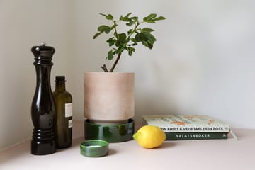 호프 화분 - Ø14 cm, Raw Rosa-Misty Blue - Bergs Potter | 베르그 포터