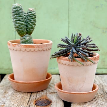 헬레나 토분 14 cm - Rosa - Bergs Potter | 베르그 포터