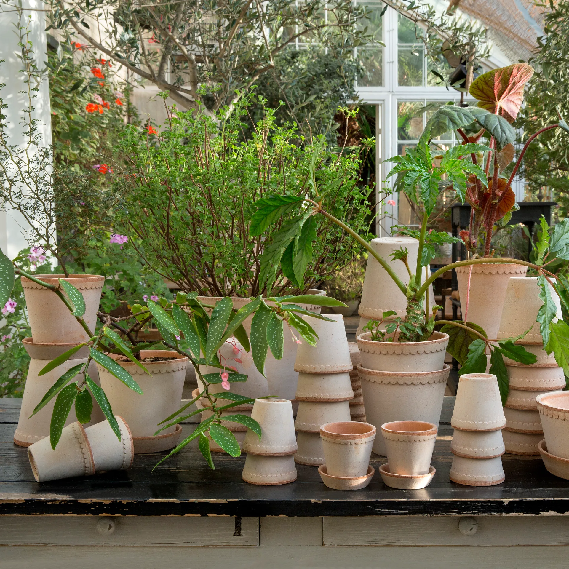 헬레나 토분 14 cm, Rosa Bergs Potter | 베르그 포터