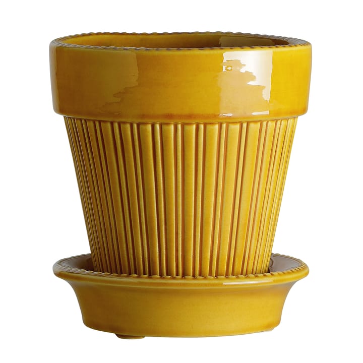 시모나 유광 토분 Ø14 cm - Yellow - Bergs Potter | 베르그 포터