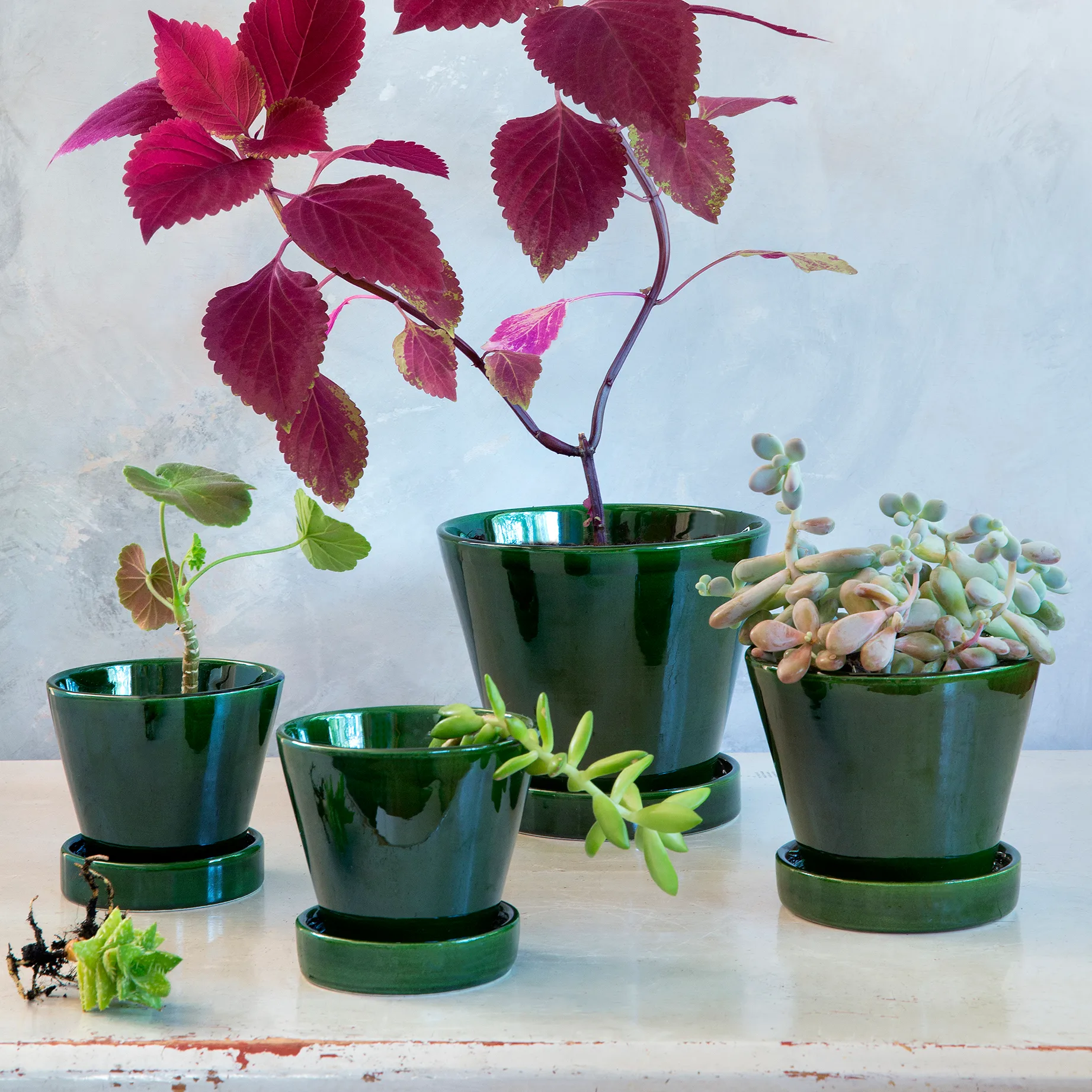 줄리 유광 토분 15 cm, Emerald Green emerald Bergs Potter | 베르그 포터