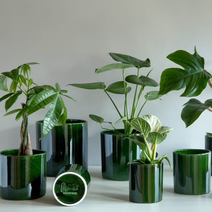 로미오 유광 토��분 15 cm, green Bergs Potter | 베르그 포터