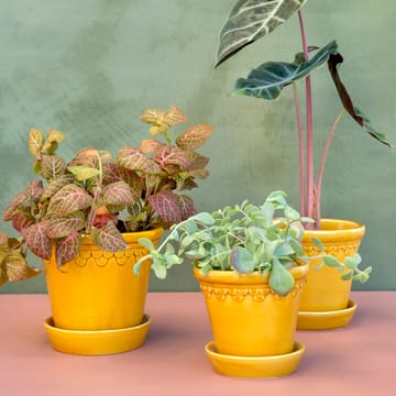 코펜하겐 유광 토분 16 cm - Amber Yellow - Bergs Potter | 베르그 포터