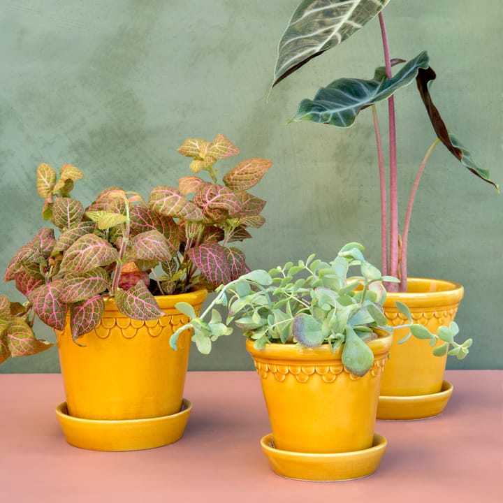 코펜하겐 유광 토분 16 cm, Amber Yellow Bergs Potter | 베르그 포터