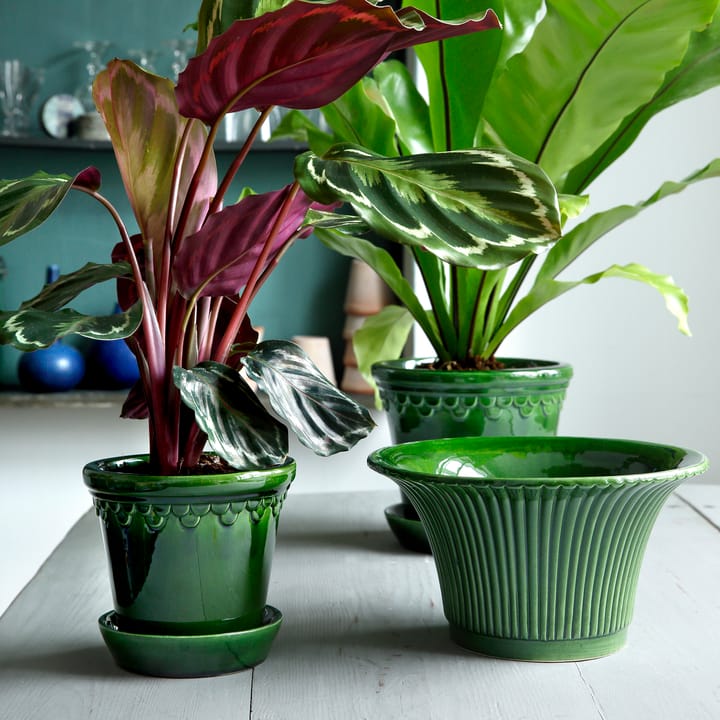 코펜하겐 유광 토분 16 cm, Emerald Green Bergs Potter | 베르그 포터