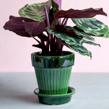 시모나 유광 토분 16 cm - Emerald Green - Bergs Potter | 베르그 포터