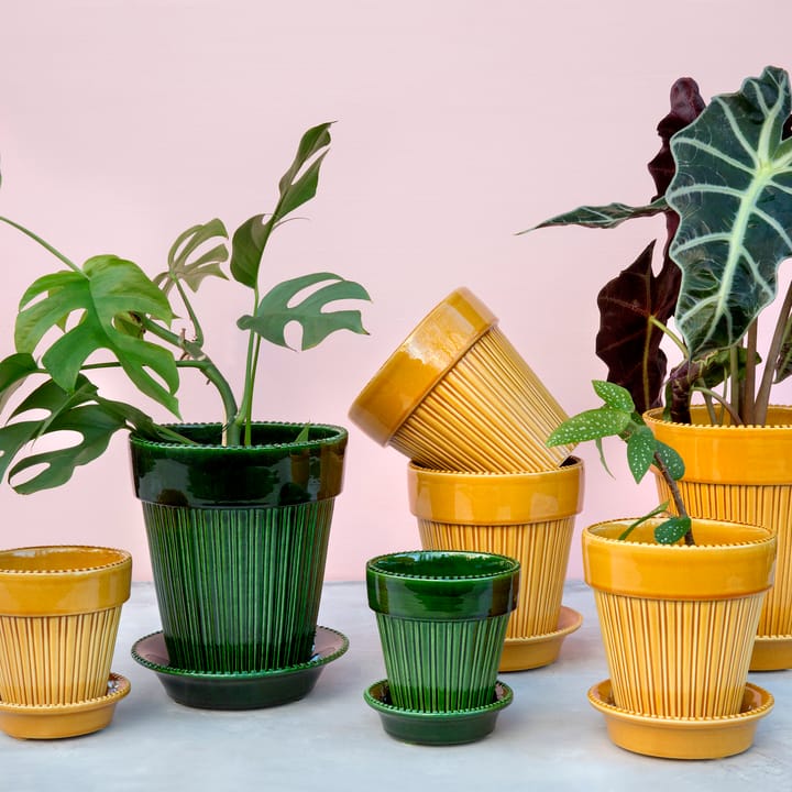시모나 유광 토�분 16 cm, Green Bergs Potter | 베르그 포터