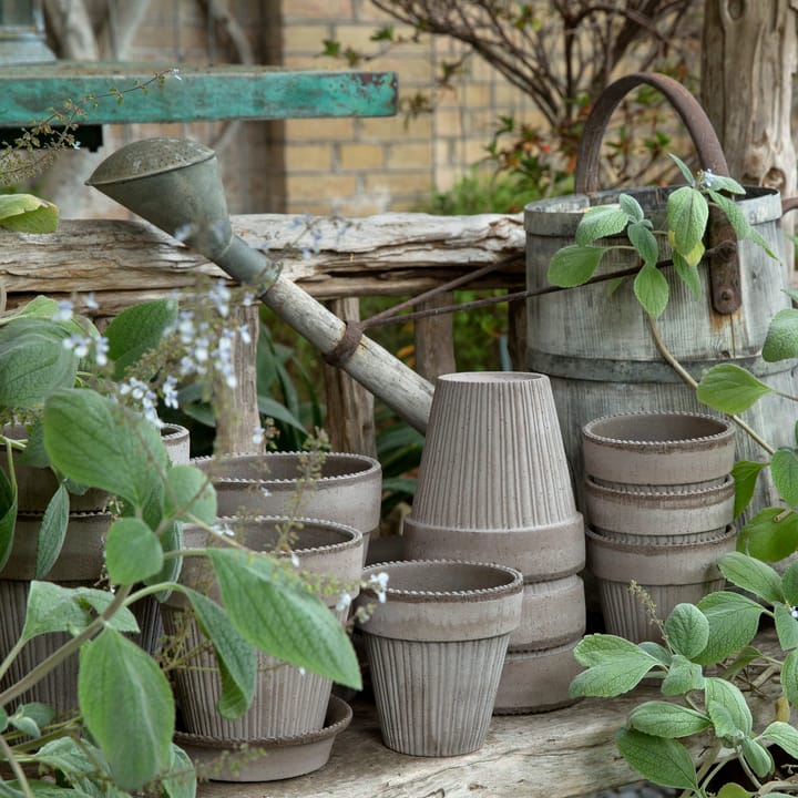 시모나 토분 16 cm, Grey Bergs Potter | 베르그 포터