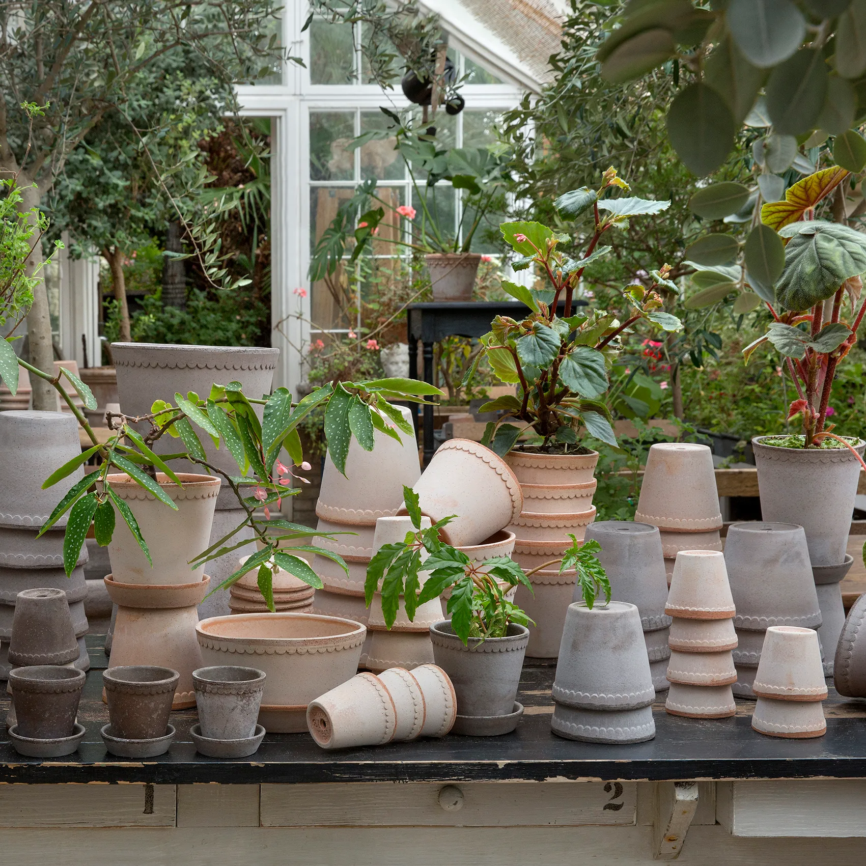 헬레나 토분 16 cm, Grey Bergs Potter | 베르그 포터