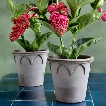 엘리자베스 토분 16 cm - Grey - Bergs Potter | 베르그 포터