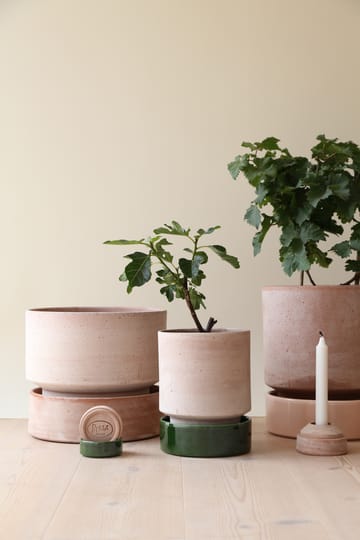 호프 화분 - Ø16 cm, Raw Rosa-Deep Burgundy - Bergs Potter | 베르그 포터