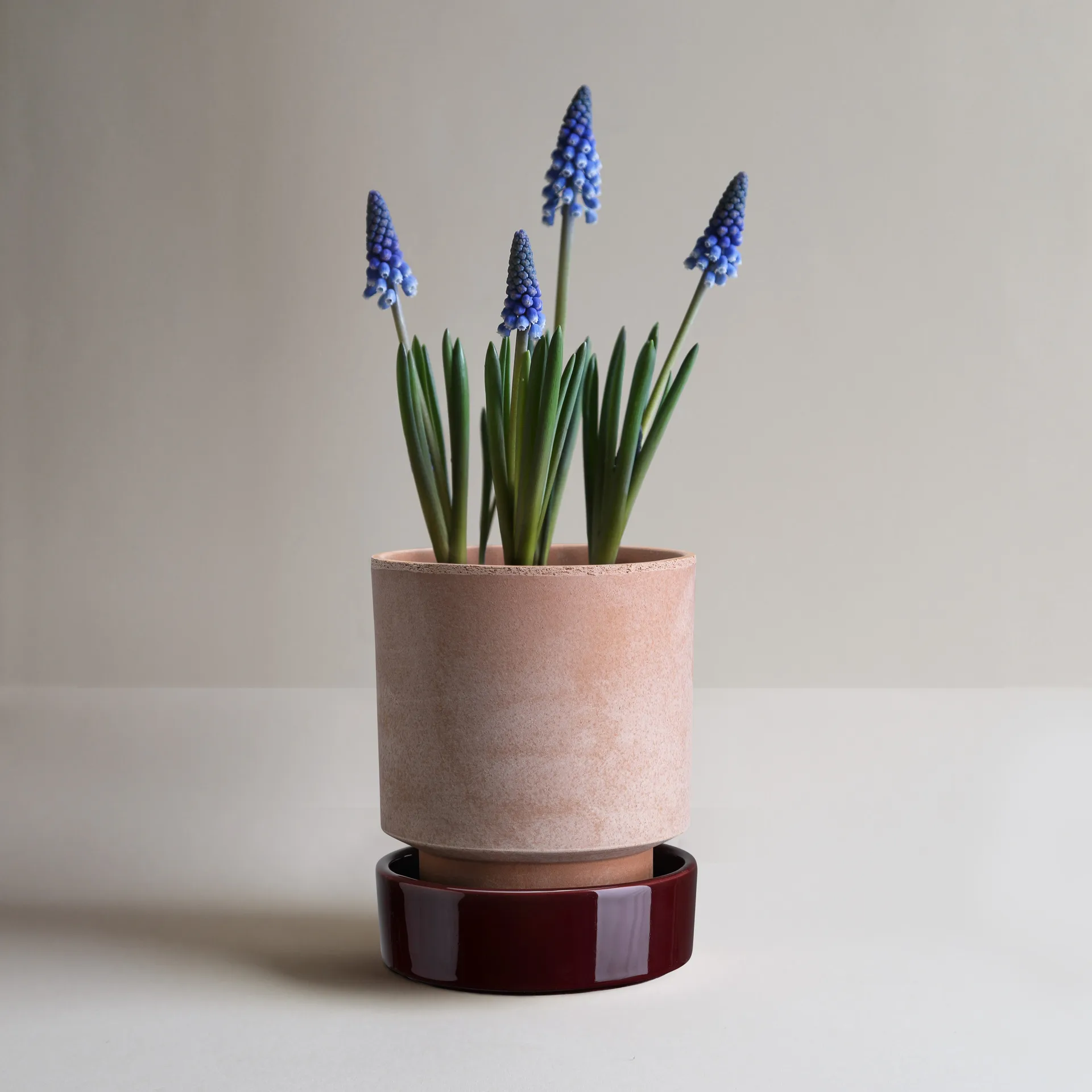 호프 화분, Ø16 cm, Raw Rosa-Deep Burgundy Bergs Potter | 베르그 포터