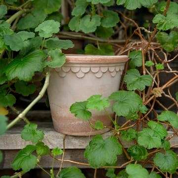 코펜하겐 토분 16 cm - Rosa - Bergs Potter | 베르그 포터