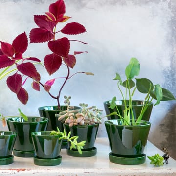 줄리 유광 토분 17 cm - Green emerald - Bergs Potter | 베르그 포터