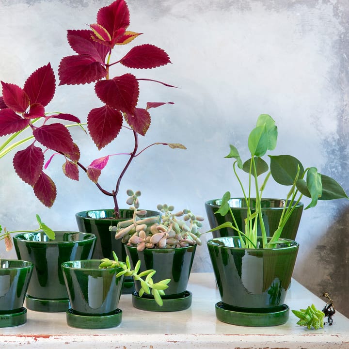 ��줄리 유광 토분 17 cm, Green emerald Bergs Potter | 베르그 포터