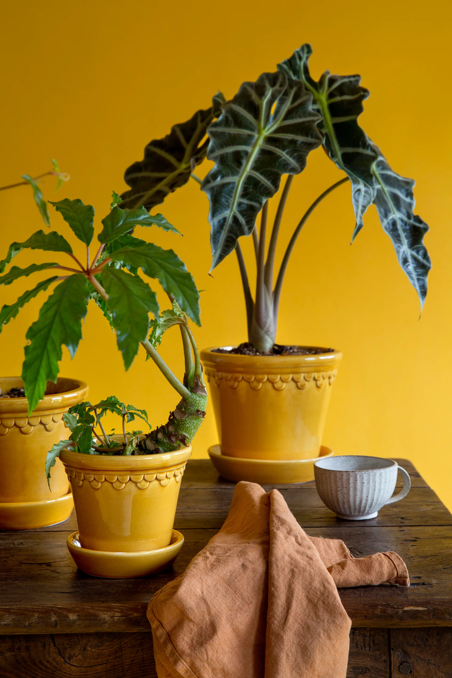 코펜하겐 유광 토분 18 cm, Amber Yellow Bergs Potter | 베르그 포터